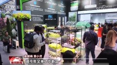 遭到境外采购商几次问